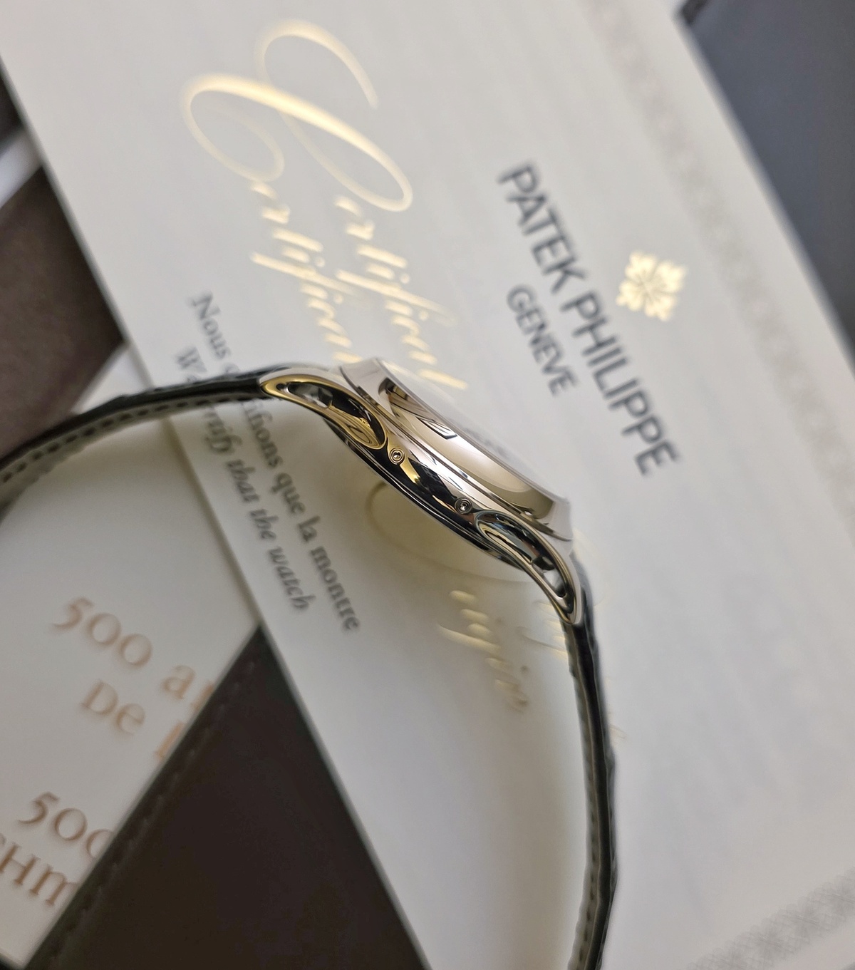 Patek Philippe Quantième annuel5205G-013